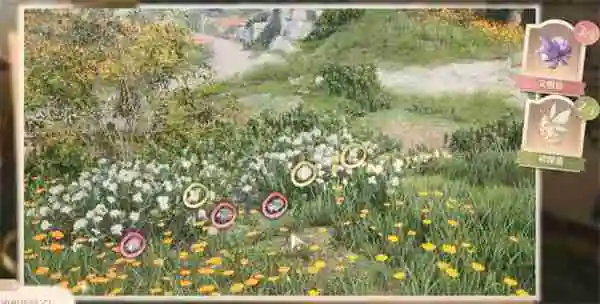 无限暖暖照片调查白日昆虫任务攻略