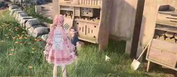 无限暖暖照片调查白日昆虫任务攻略