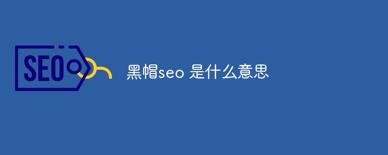 黑帽seo 是什么意思
