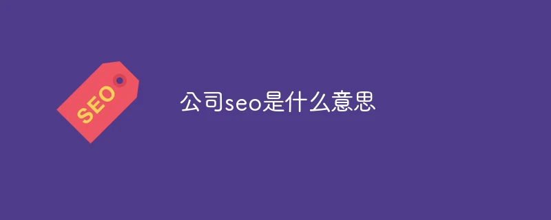 公司seo是什么意思