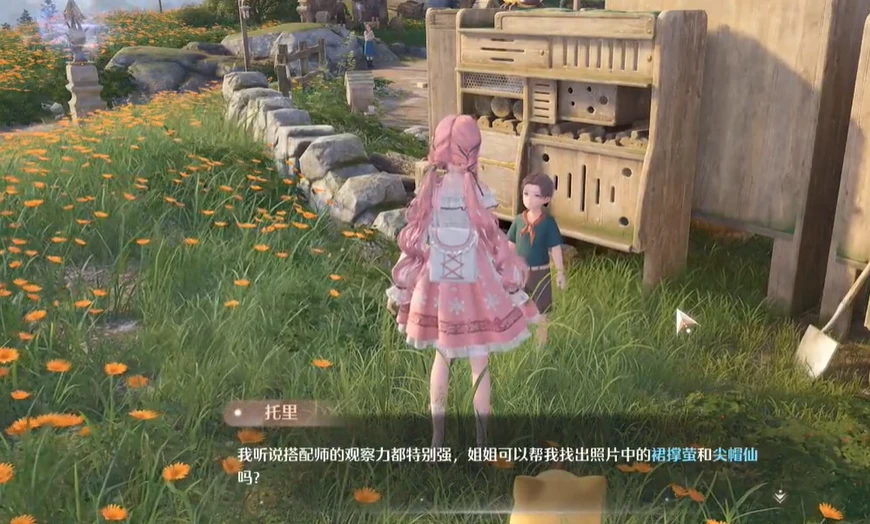 无限暖暖照片调查白日昆虫任务怎么做 无限暖暖照片调查白日昆虫任务完成技巧全流程解析