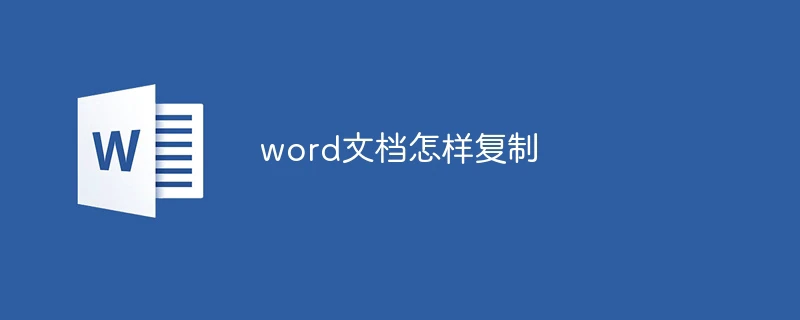 word文档怎样复制