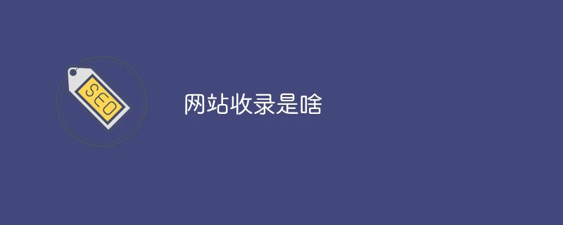 网站收录是啥