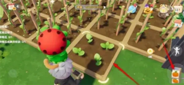 心动小镇南瓜如何种植-心动小镇南瓜种植方法一览 心动小镇南瓜如何种植-心动小镇南瓜种植方法一览