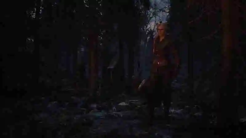CDPR：《巫师4》开放世界将更有深度 更具沉浸感