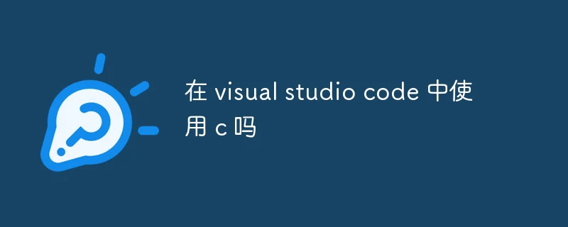 在 visual studio code 中使用 c 吗