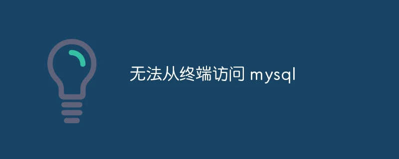 无法从终端访问 mysql