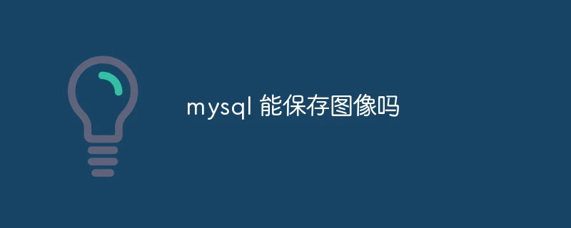 mysql 能保存图像吗