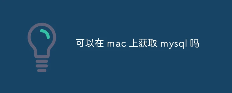 可以在 mac 上获取 mysql 吗