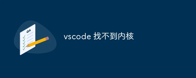 vscode 找不到内核