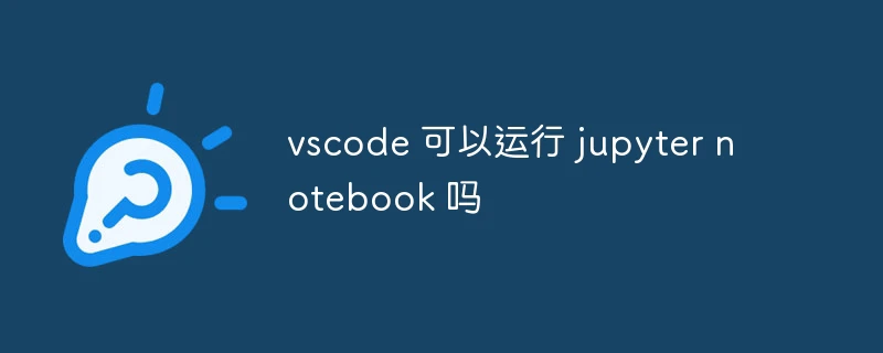 vscode 可以运行 jupyter notebook 吗