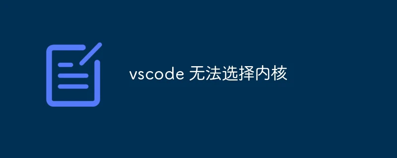 vscode 无法选择内核