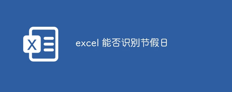 excel 能否识别节假日
