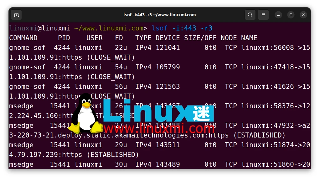 Linux高手必备工具:掌握 LSOF 命令实时监控端口