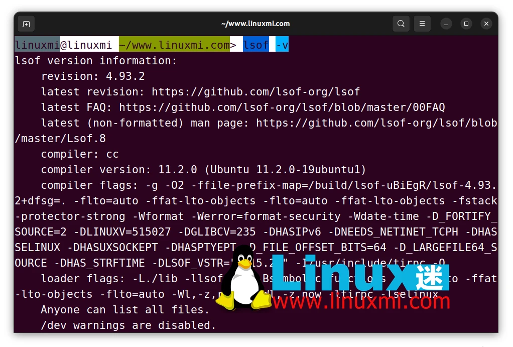 Linux高手必备工具:掌握 LSOF 命令实时监控端口