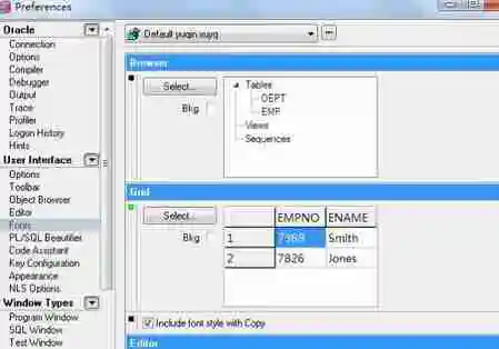 pl/sql developer中文乱码-pl/sql developer中文乱码的处理方法介绍