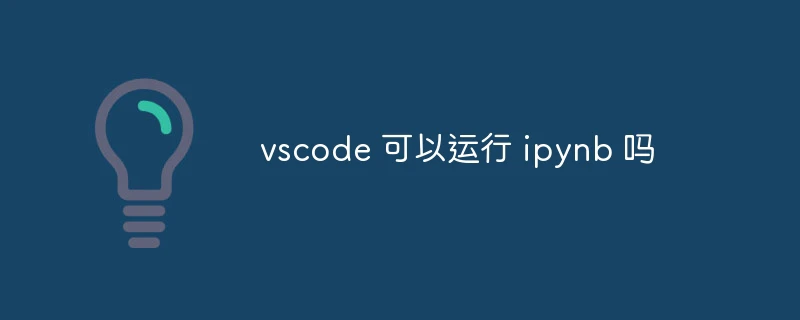 vscode 可以运行 ipynb 吗