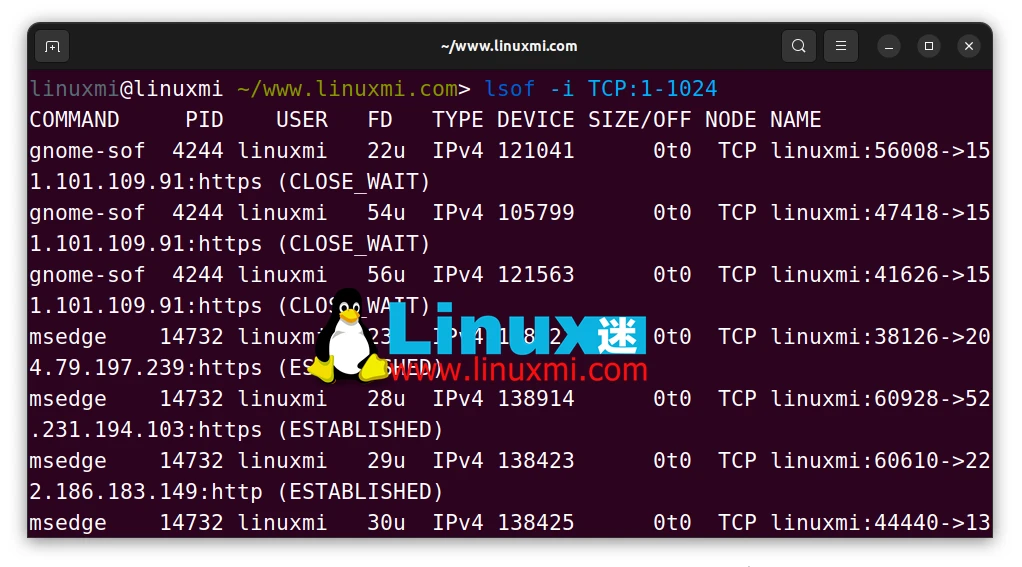 Linux高手必备工具:掌握 LSOF 命令实时监控端口