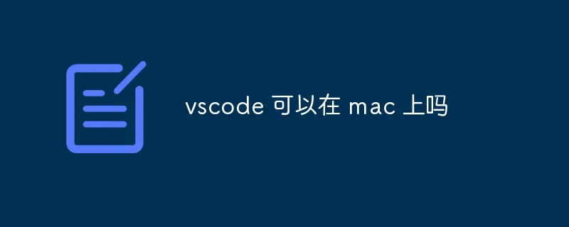 vscode 可以在 mac 上吗