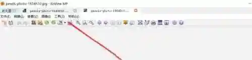 xnview是什么？如何设置xnview的多页显示功能？