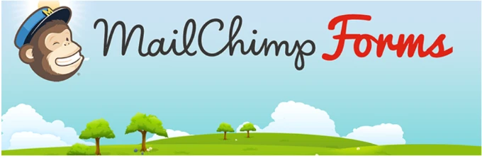 2024 年 17 个最佳 WordPress Mailchimp 插件