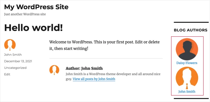 如何在 WordPress 中列出博客中的所有作者