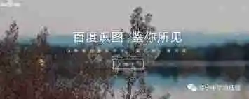 百度识图有哪些功能
