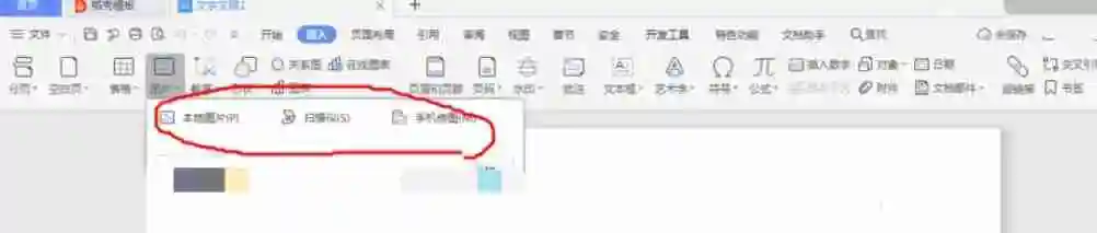 wps电脑版怎么开空白文件和插入图片_wps电脑版开空白文件和插入图片的方法