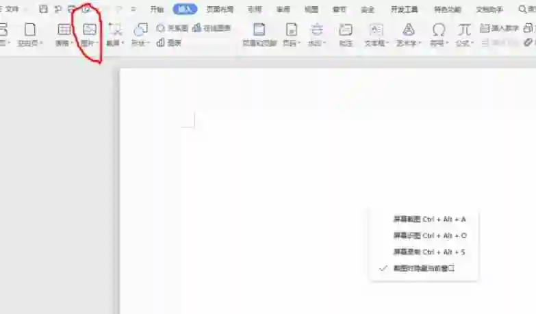 wps电脑版怎么开空白文件和插入图片_wps电脑版开空白文件和插入图片的方法