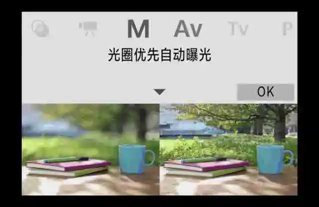  让拍摄回归简单轻松 佳能 EOS R100 拍摄体验 