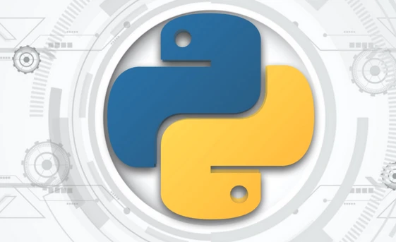 Vision Transformers (ViTs):使用 Transformer 模型的计算机视觉