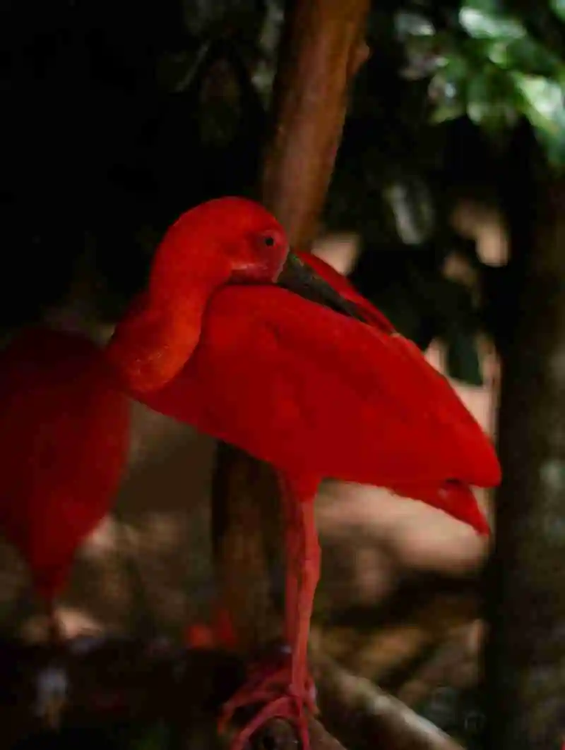 页面事务作为组织测试自动化的新方式