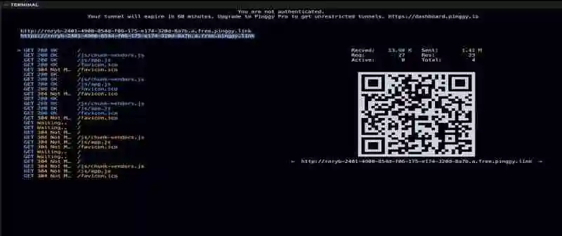 使用 Pinggy 在没有服务器的情况下托管 Vuejs 应用程序