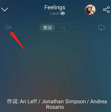 网易云音乐怎么调节歌曲音量大小 网易云音乐设置播放音量方法介绍