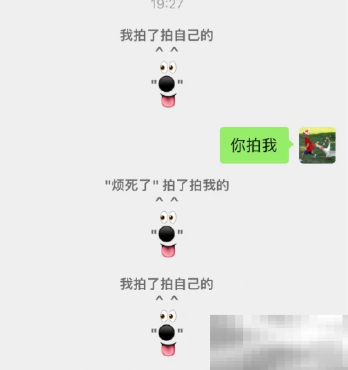 《微信》拍一拍小动物文字图案分享