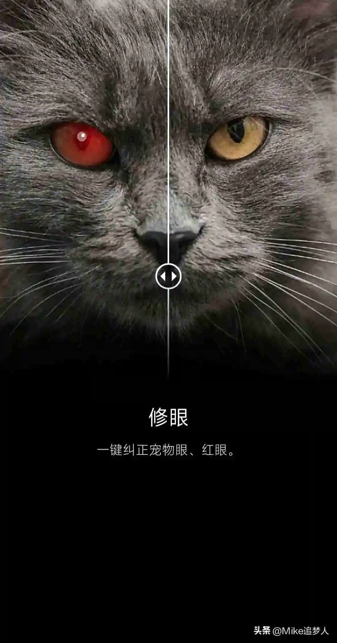 图像编辑软件手机版（好用的照片编辑app是哪个）