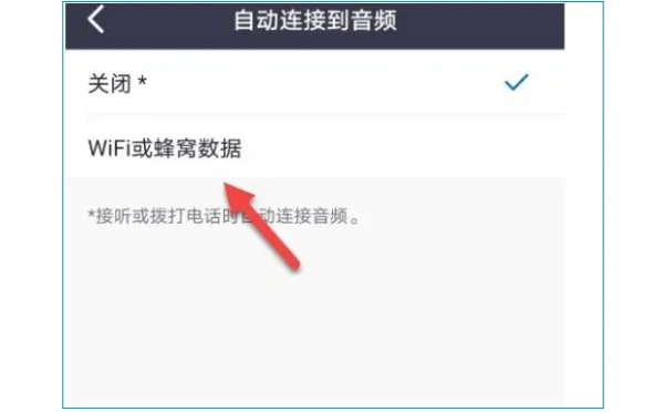 ZOOM视频会议如何连接音频?ZOOM视频会议连接音频的操作方法