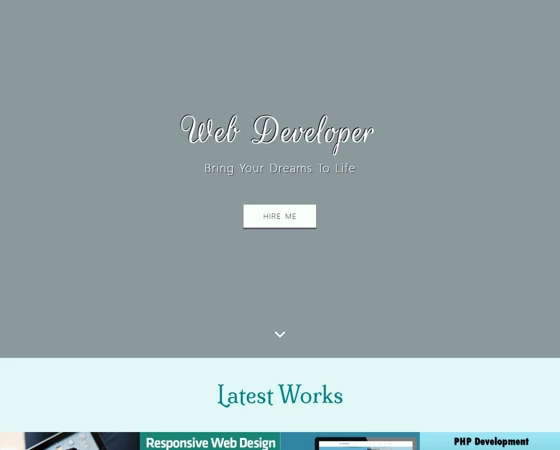 Developer程序员开发者项目网页模板