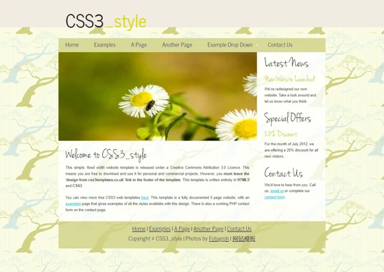 插画树背景小清新英文博客css3模板