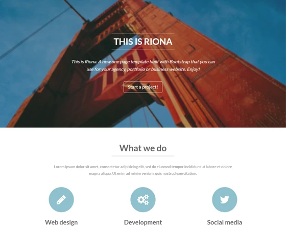 Riona 单页Bootstrap程序开发企业模板