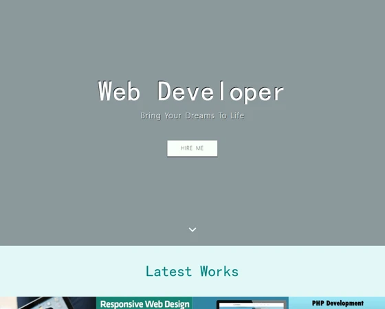 Developer技术开发者作品展示官网模板