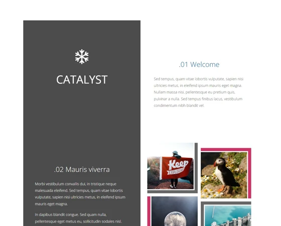 CATALYST响应式个人主页模板下载