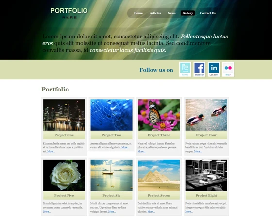 淡绿色WEB DESIGN CSS模板
