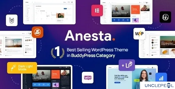 Anesta - 内联网、外联网、社区与 BuddyPress WordPress 主题 1.1.0 开心版