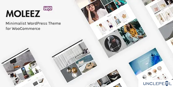 Moleez - 极简 WordPress 主题用于 WooCommerce 2.4.4