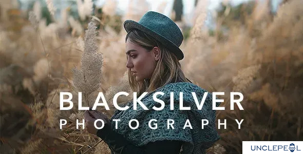Blacksilver | 摄影主题 WordPress 8.9.6