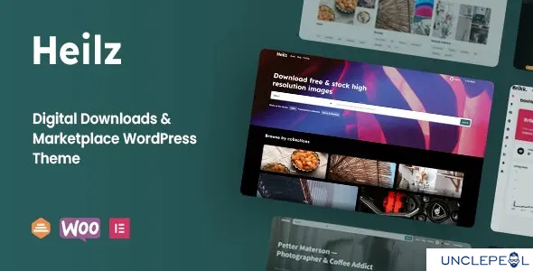 Heilz - 数字下载与市场 WordPress 主题 1.0.0.7.6 开心版