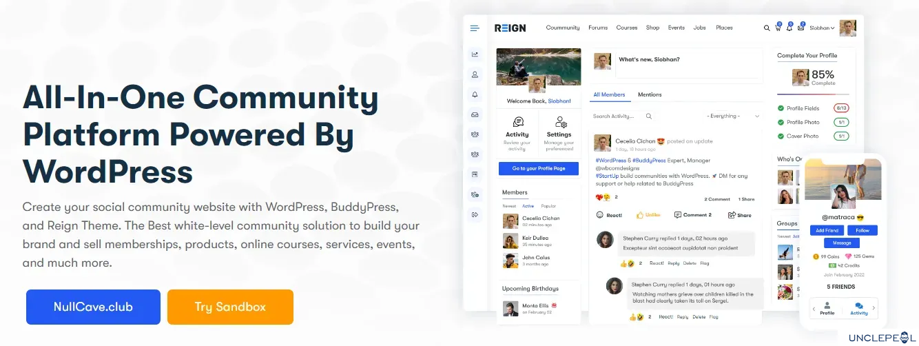 Reign - Wordpress 主题 6.8.9