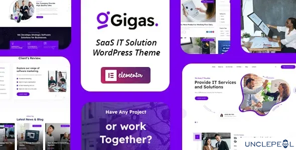 Gigas - SaaS WordPress 主题 1.0