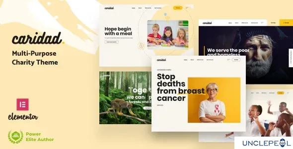 Caridad - 慈善 WordPress 主题 7.1 开心版